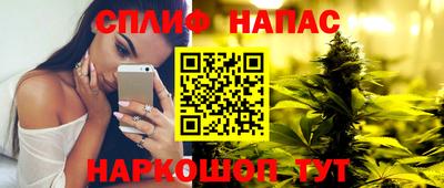 прущие грибы Мариинск