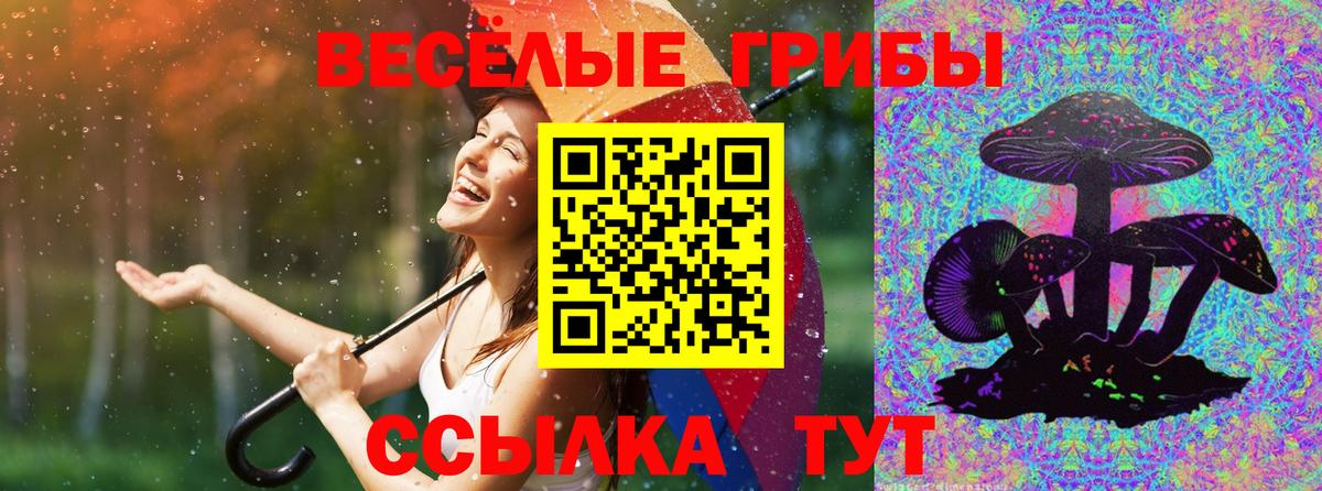 Галлюциногенные грибы Psilocybe  Вход с VPN  Горно-Алтайск 