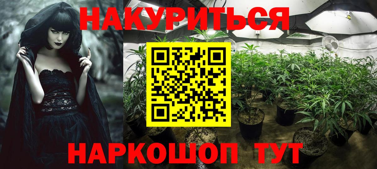 Бошки марихуана план  Бошки марихуана ГИДРОПОН  Горно-Алтайск  Вход с VPN  Бошки Шишки White Widow 